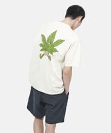 HEMP MAN TEE,BONE, small image number 6