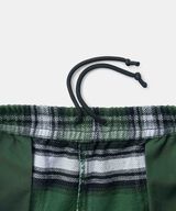 SWELL FLANNEL CHECKERED PANT,BIG CHECK, small image number 9